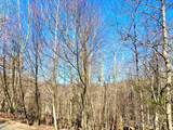 102 Blackberry Trail - Photo 13