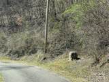 000 Trotters Trail - Photo 3