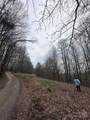 0000 Anderson Cove Road - Photo 11