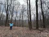 0000 Anderson Cove Road - Photo 15