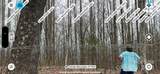 0000 Anderson Cove Road - Photo 27