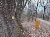 0000 Anderson Cove Road - Photo 4