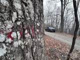 0000 Anderson Cove Road - Photo 6