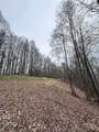 0000 Anderson Cove Road - Photo 7