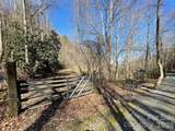81 Peepeye Cove Road - Photo 4