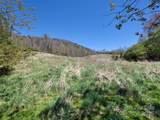 796 Upper Glady Fork Road - Photo 18