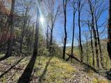Lot 25 Deer Rock Road - Photo 2