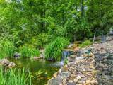 428 Devils Hole Road - Photo 47