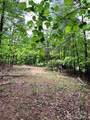 Lot 46 Lake Adger Parkway - Photo 6
