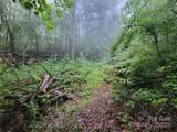 2100 Chambers Mountain Road - Photo 15