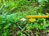 2100 Chambers Mountain Road - Photo 21