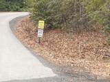 Lot 37 Skyline Road - Photo 12