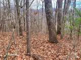 Lot 37 Skyline Road - Photo 6