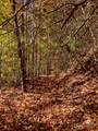 17 Moonlight Trail - Photo 42
