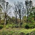1450 Pork Road - Photo 2