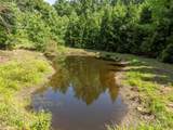1084 Old Howard Gap Road - Photo 22