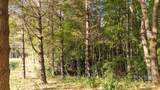 0 Clear Creek Drive - Photo 20