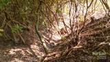 0 Clear Creek Drive - Photo 21
