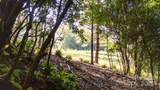 0 Clear Creek Drive - Photo 22