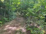 Lt 176 Reach Road - Photo 4