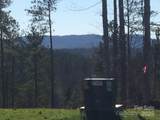 5619 Channel View Cove - Photo 6