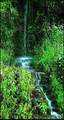 6.96 acres Big Hungry Road - Photo 11