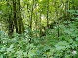 00 Yonah Trail - Photo 4