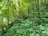 00 Yonah Trail - Photo 5