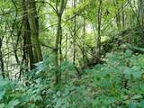 00 Yonah Trail - Photo 6