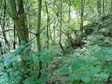 00 Yonah Trail - Photo 8