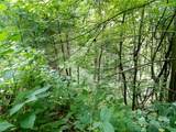 00 Yonah Trail - Photo 9