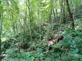 00 Yonah Trail - Photo 10