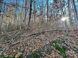 383 Blue Mist Mountain Road - Photo 35