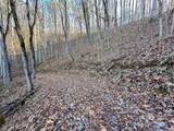 383 Blue Mist Mountain Road - Photo 39