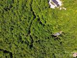 99999 Black Bear Ridge Trail - Photo 20