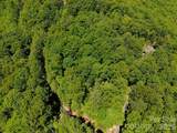 99999 Black Bear Ridge Trail - Photo 21