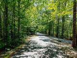 99999 Black Bear Ridge Trail - Photo 24