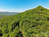 99999 Black Bear Ridge Trail - Photo 26