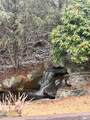 49 Ben Lippen School Road - Photo 9