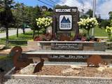 301 Pinnacle Inn Road - Photo 39