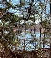 283 Rivercliff Drive - Photo 1