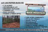 TBD Pepper Bush Road - Photo 1