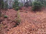 TBD Pepper Bush Road - Photo 5
