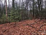 TBD Pepper Bush Road - Photo 9