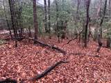 TBD Pepper Bush Road - Photo 10