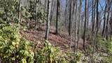 Lot 11 Bernies Trail - Photo 27