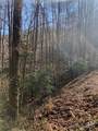 TR 6 Little Bit Trail - Photo 7