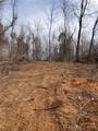 1638 Continental Divide Road - Photo 4