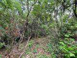 # 33 Woodglen Court - Photo 2