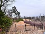 38 Flourish Farm Lane - Photo 15